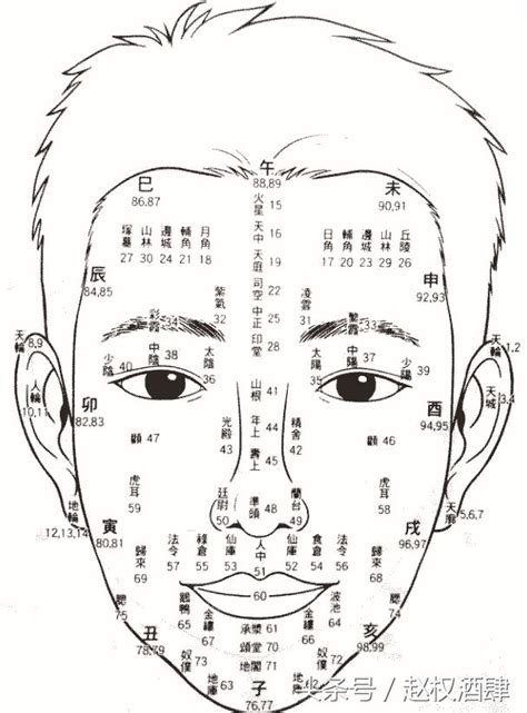 面相年齡|1到100歲，面相流年氣運圖教你如何看自己的面相